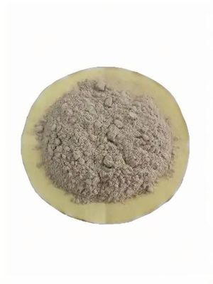 باکتری های میکروبی پیشرفته برای تصفیه فاضلاب