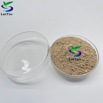 آنتی بیوتیک های آیروبیک آیروبیک باکتری های آیروبیک آیروبیک در تصفیه فاضلاب کشت باکتری