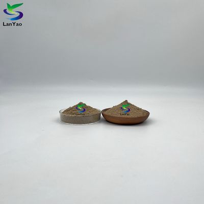 تصفیه آب فاضلاب پودر باکتریایی برای کاربردهای صنعتی