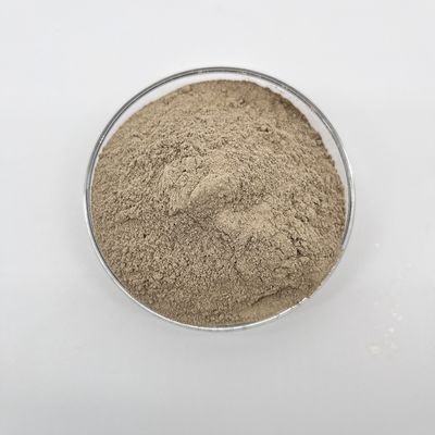 مایکروارگانیسم های ارگانیک برای تمیز کردن موثر و ذخیره سازی مناسب
