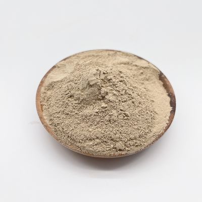 عملکرد نوآورانه و اثبات شده در قالب پودر تصفیه آب فاضلاب باکتری برای باکتری های بیولوژیکی